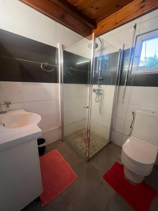 Appartement Le Tournesol By Egl Immo à Saint-Pierre Extérieur photo